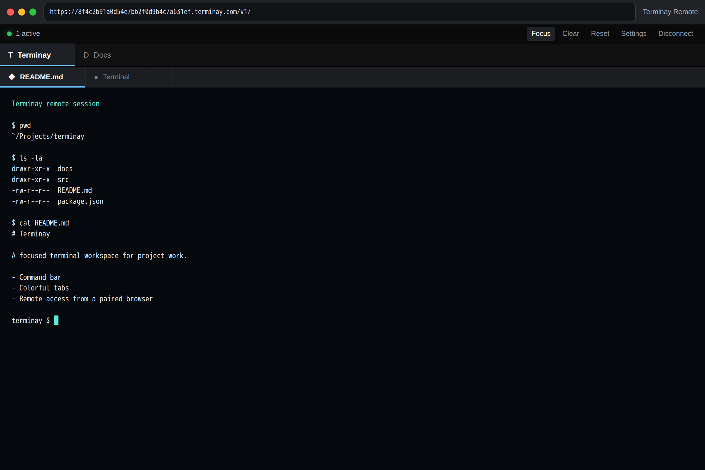 Terminay session subdomain connected to a remote terminal showing file listings and README contents