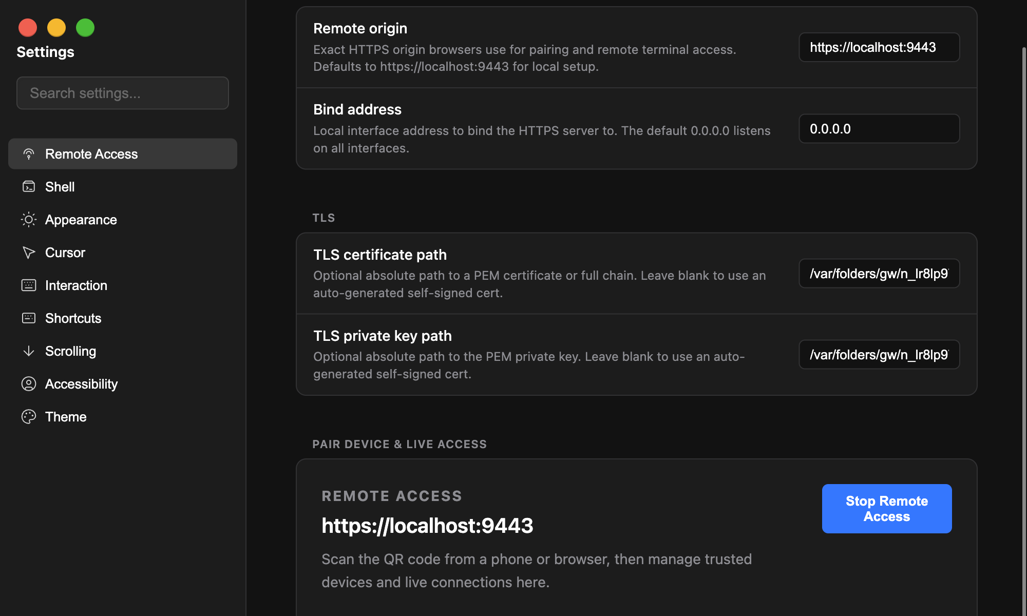 Terminay Remote Access settings with pairing and TLS options