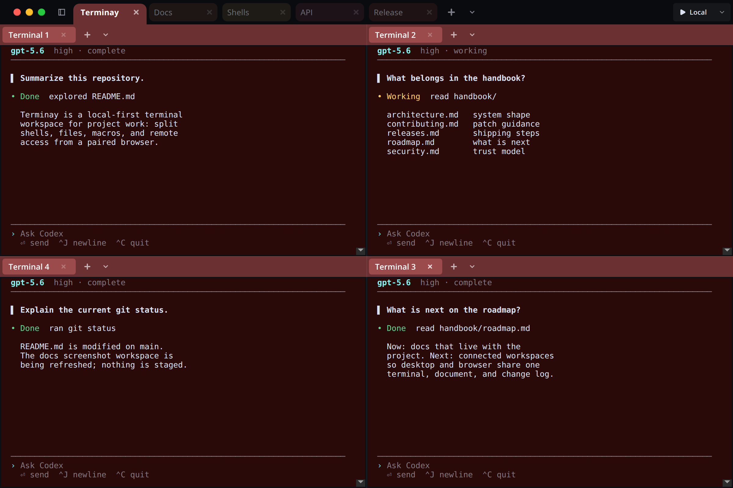 Terminay workspace with four Codex CLI sessions in a two-by-two split